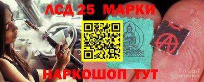 дживик Аргун