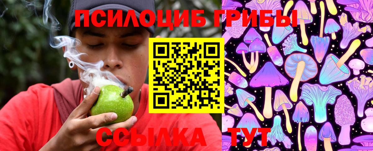 Галлюциногенные грибы Psilocybe  Вход с VPN  Березники 